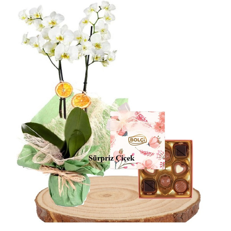 Beyaz Çifli Orkide & Bolçi Çikolata
